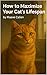 How to Maximize Your Cat’s ...