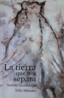 La tierra que nos separa (Paperback)