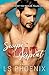 Swipe, Chat, Repeat (The Perfect Match Duet Book 2)