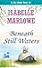 Beneath Still Waters (A Blu...
