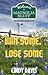 Win Some, Lose Some by Cindy Davis