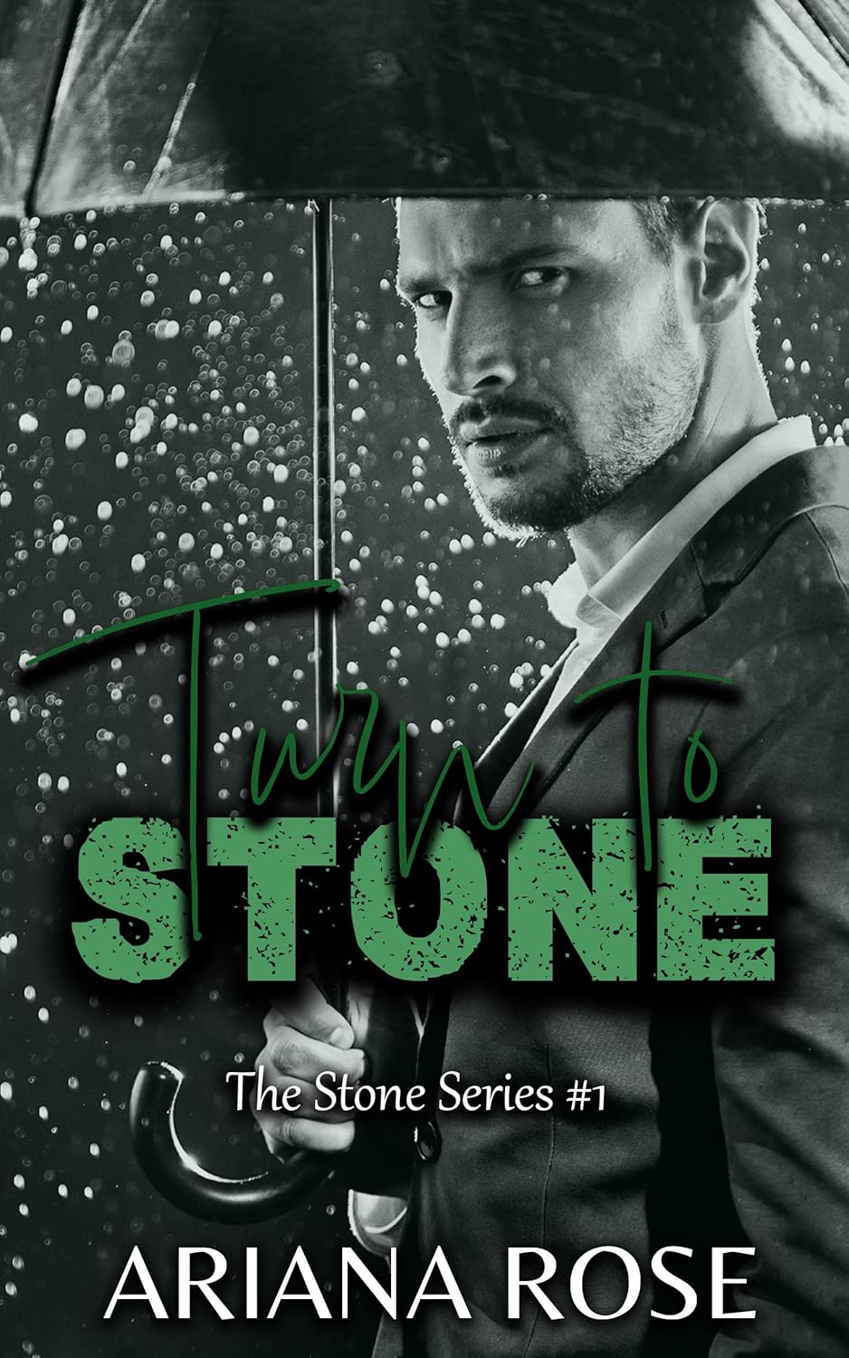 Turn To Stone (The Stone Series, #1)