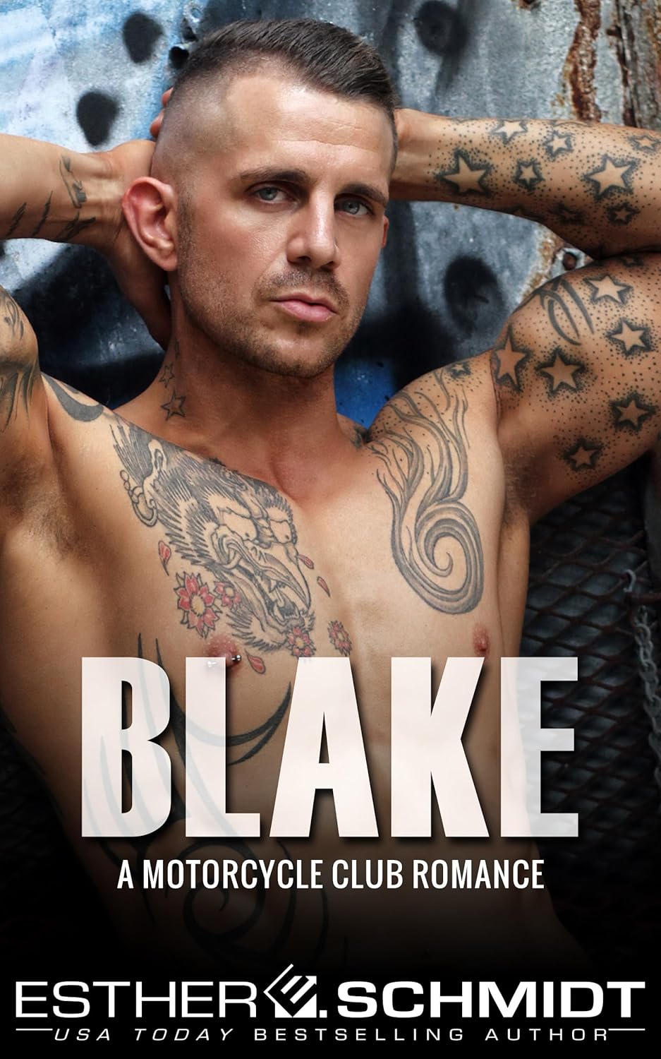 Blake (Kindle Edition)