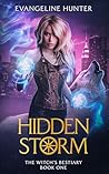 Hidden Storm: A F...
