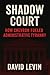 Shadow Court by David Levin
