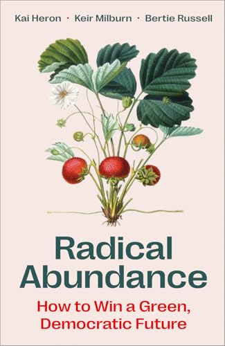 Radical Abundance: How to Win a Green Democratic Future (Paperback)
