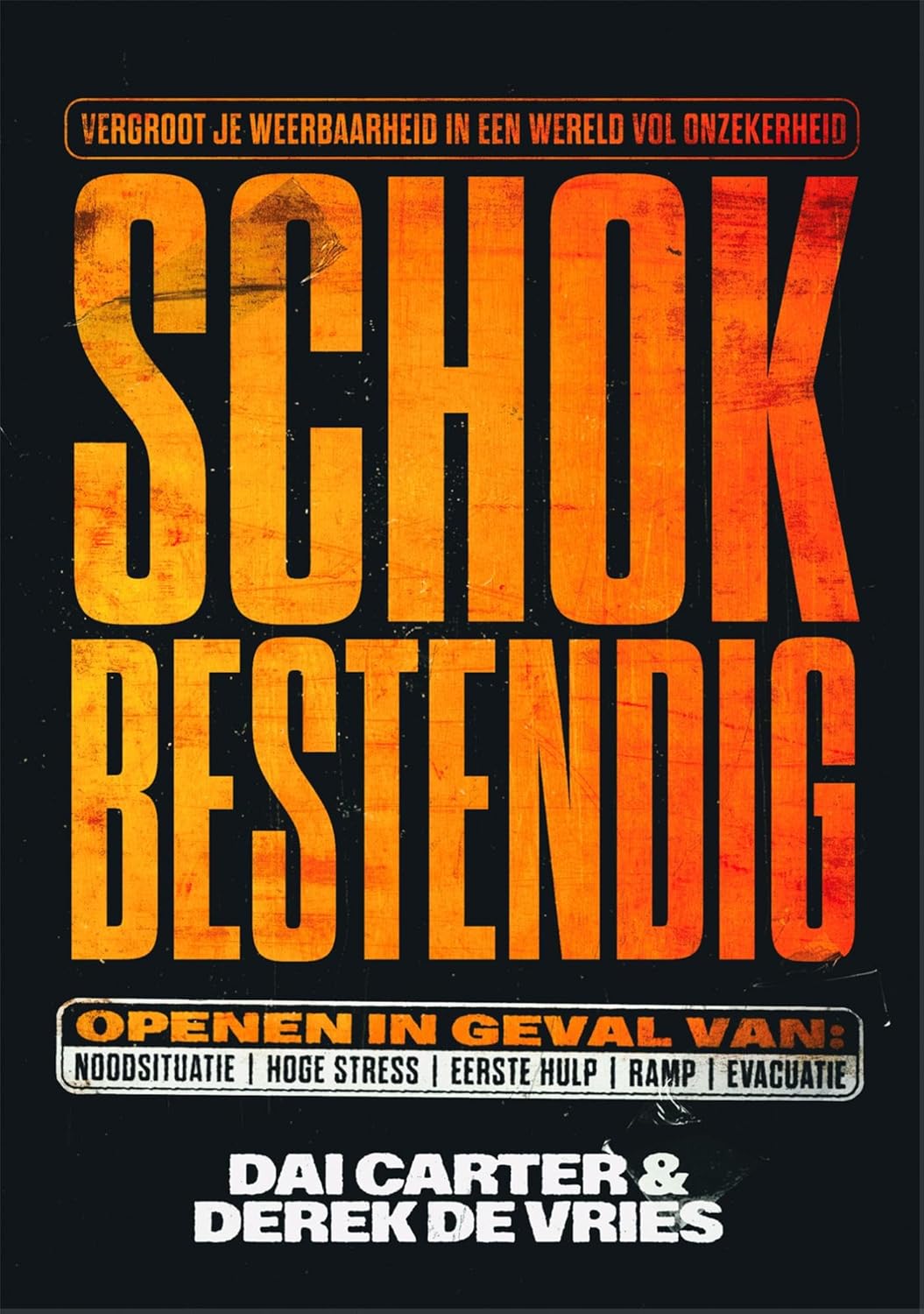 Schokbestendig: Vergroot je weerbaarheid in een wereld vol onzekerheid