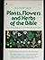 Plants, Flowers, and Herbs of the Bible: The Living Legacy of the Third Day of Creation