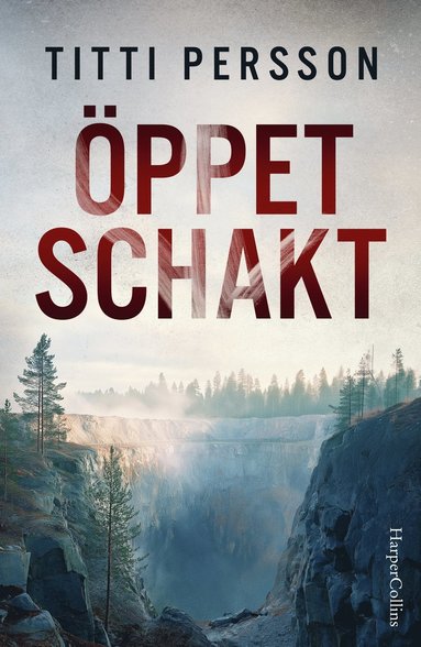 Öppet schakt (Hardcover)