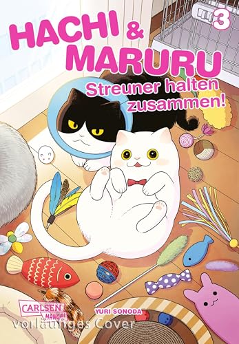 Hachi & Maruru – Streuner halten zusammen! 3: Herzergreifendes Abenteuer von zwei ungleichen Katzen auf der Straße (German Edition)