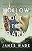 Hollow Out the Dark: A Novel