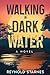 Walking in Dark Water