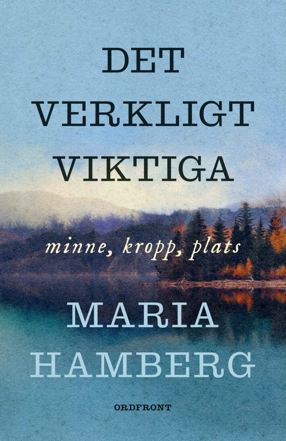 Det verkligt viktiga: minne, kropp, plats