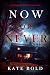 Now Or Never (Brynn Justice #9)