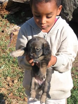 Conscious Parenting Course (AoL Mindfulness, #5)