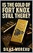 Is the Gold of Fort Knox Still There? by Silas Moreau