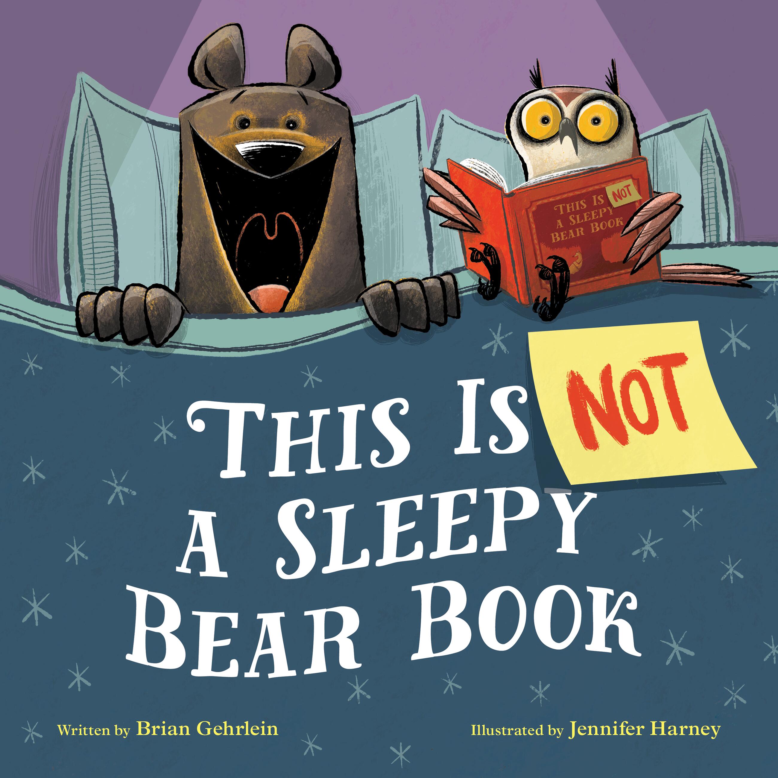 This Is Not a Sleepy Bear Book (Hardcover)
