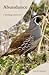 Abundance: A Birding Memoir