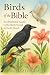 Birds of the Bible: An Illustrated Guide to the Birds Found in God’s Word