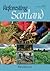 Reforesting Scotland 71, Sp...