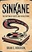 SINKANE: The Rhythm of Root...