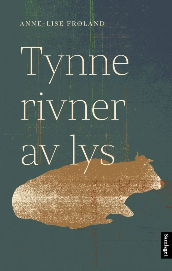 Tynne rivner av lys (Hardcover)