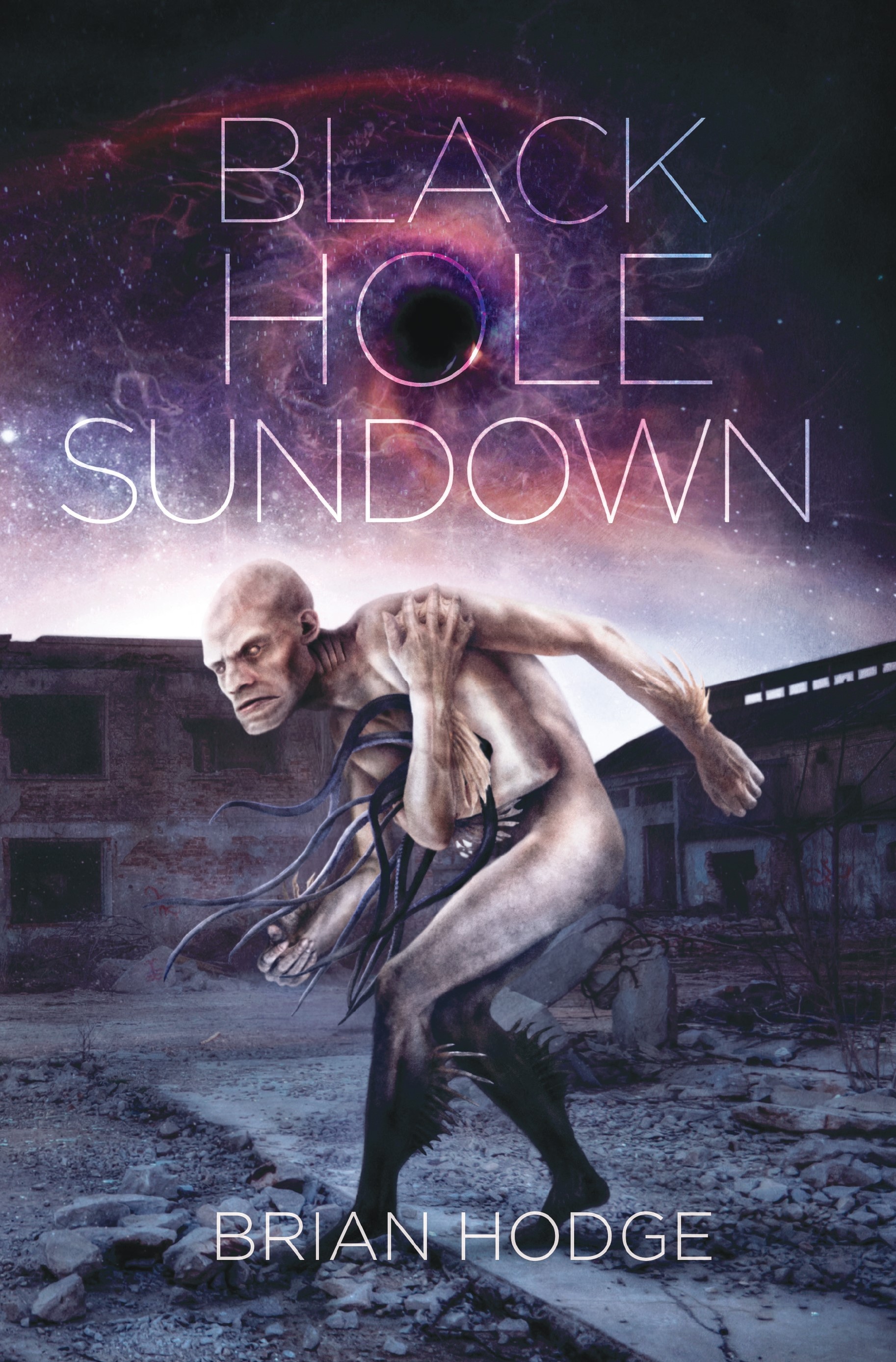 Black Hole Sundown (Hardcover)