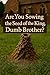 Are you Sowing the Seed of ...