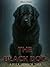 THE BLACK DOG: A Folk Horror Tale
