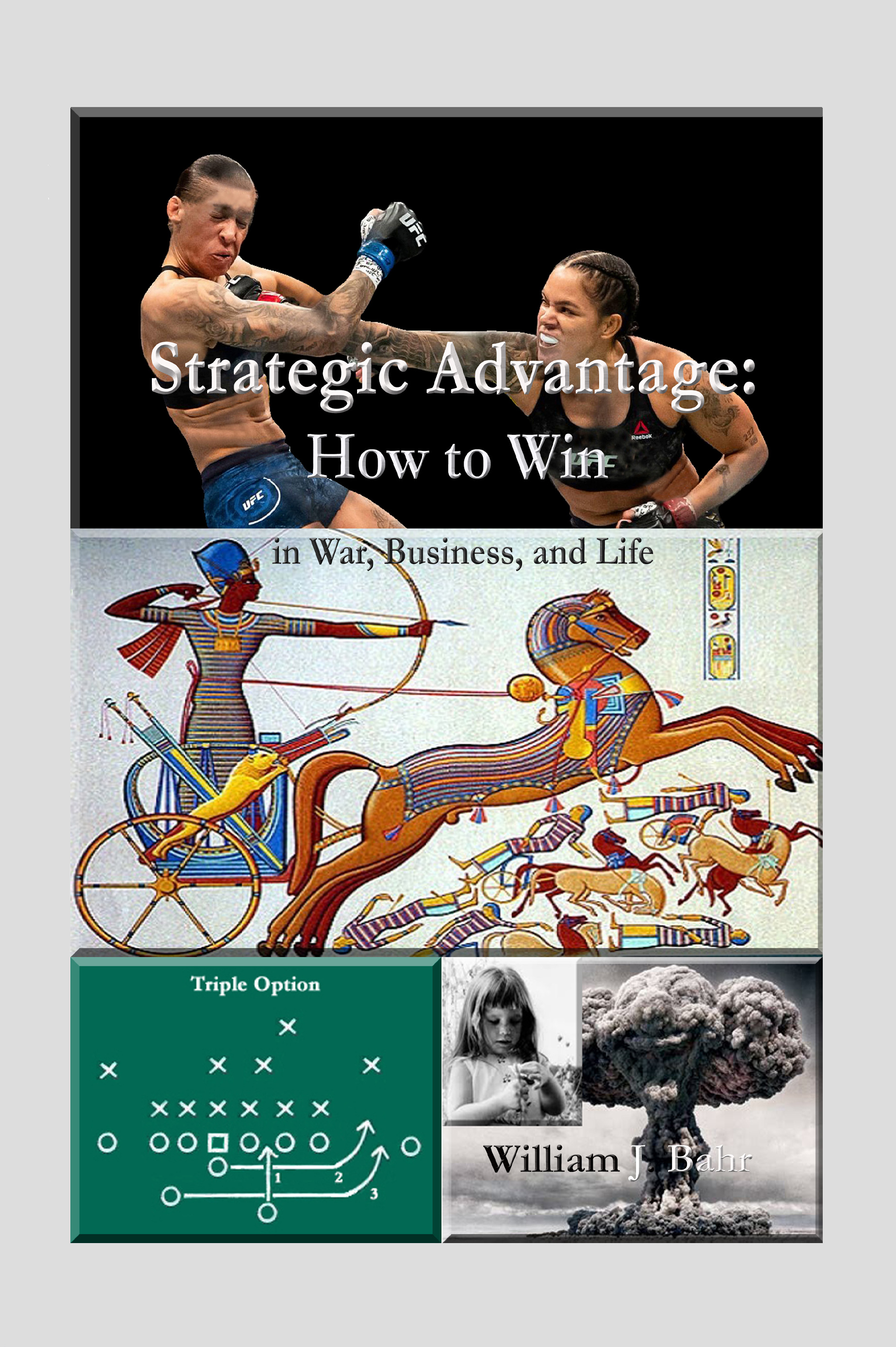 Strategic Advantage: How to Win in War, Business, and Life (Paperback)