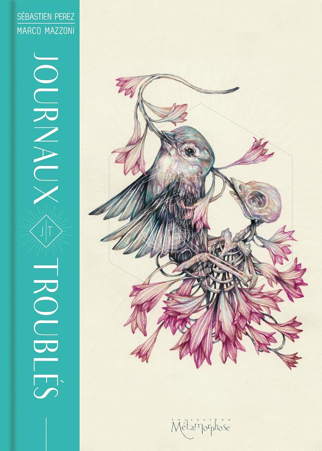 Journaux troublés (Hardcover)