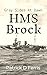 Gray Sides At Dawn HMS Brock by Patrick D. Ferris