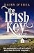 The Irish Key: An utterly heart-wrenching and gripping Irish novel filled with family secrets