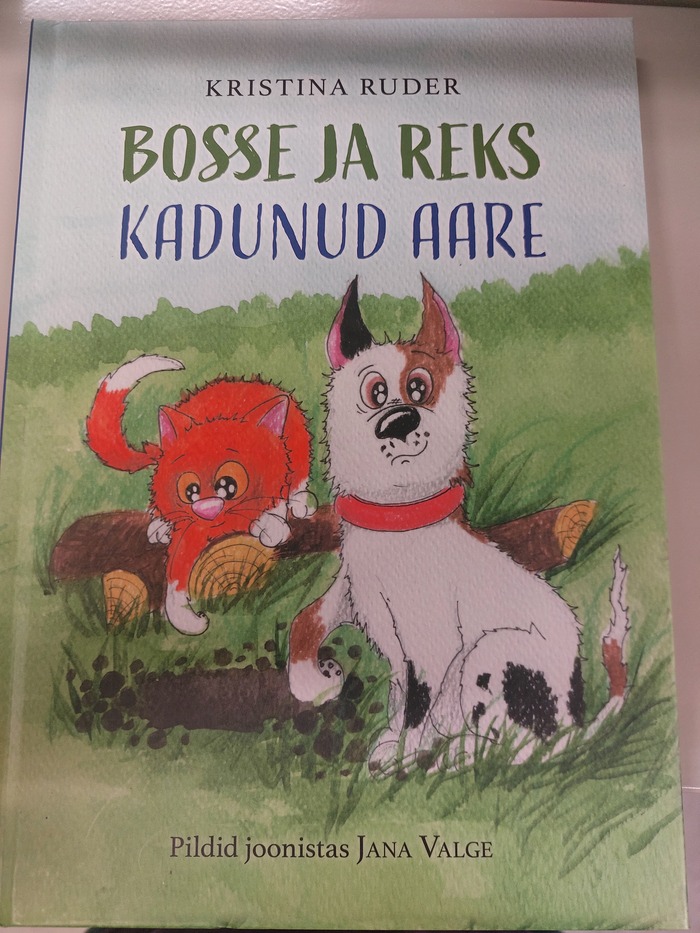 Kadunud aare (Hardcover)