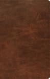 ESV Thinline Bibl...