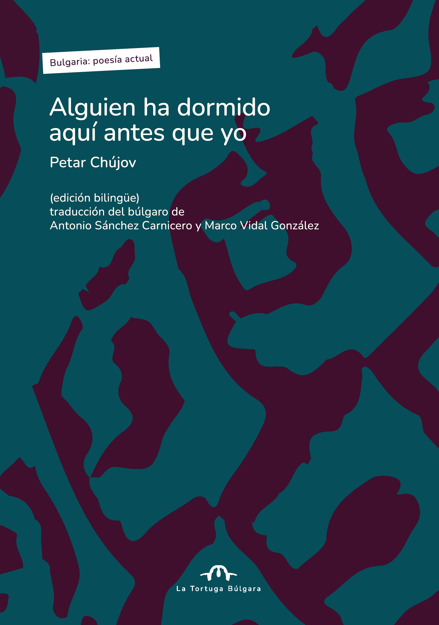 Alguien ha dormido aquí antes que yo: Edición bilingüe búlgaro-español (Paperback)