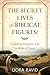 The Secret Lives of Biblical Figures by Liora Ravid