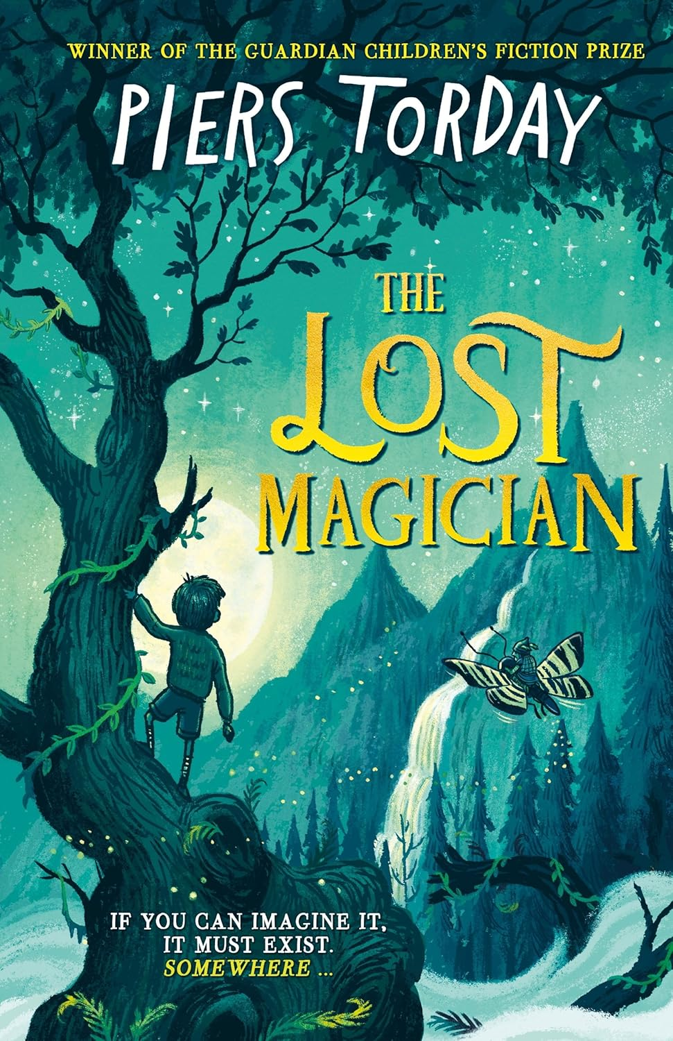 The Lost Magician (Kindle Edition)