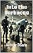 Into the Darkness by Anthony DiCarlo