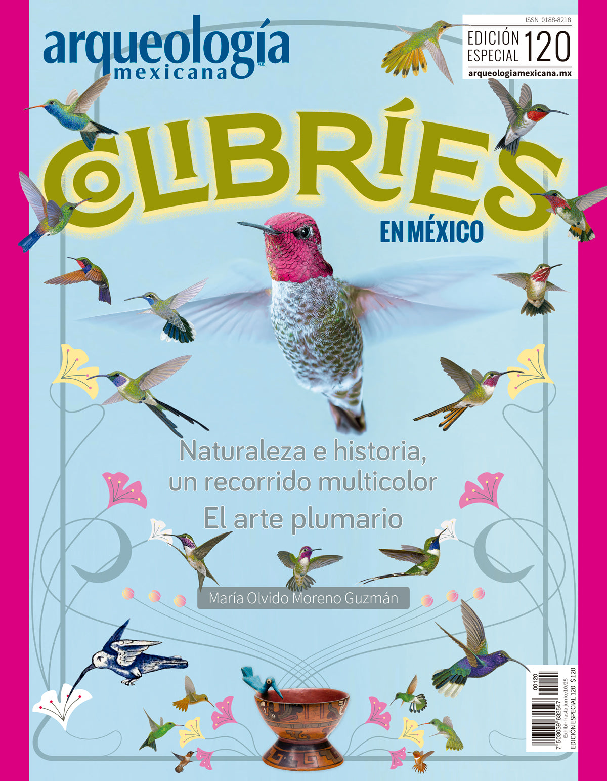 Colibríes en México (Especial Arqueología Mexicana n. 120)
