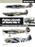Fighter Aircraft of World W...