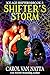 Shifter's Storm (Ice Age Sh...