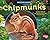 Chipmunks (Backyard Animals)