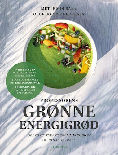 Professorens grønne energigrød (Hardcover)