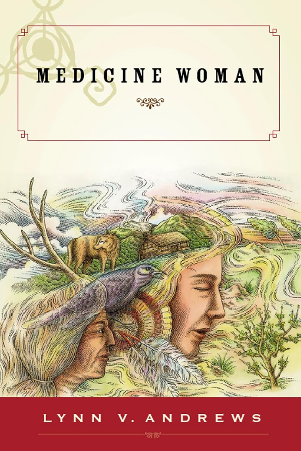 Medicine Woman (Paperback)