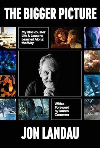 The Bigger Picture: My Blockbuster Life & Lessons Learned Along the Way (Hardcover)