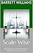 Scale Wise: Navigating Busi...
