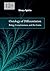 Ontology of Differentiation: Being, Consciousness, and the Game