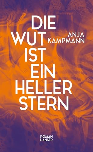 Die Wut ist ein heller Stern (Kindle Edition)