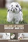 Holland Lop Rabbi...